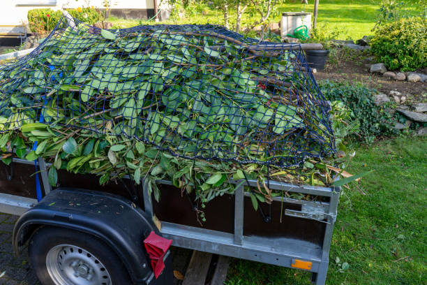 Best Recycling Services for Junk  in Centerville, SC